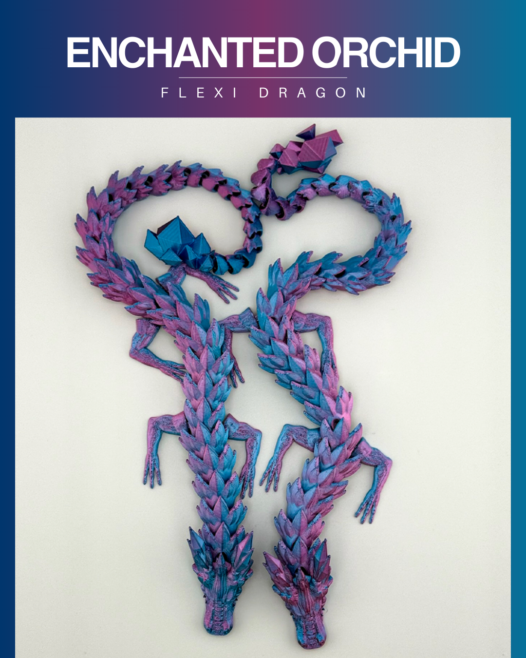 Dragón flexible - O